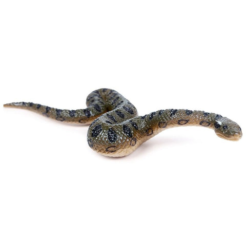 Fake Realistic Snake Rubber Toy